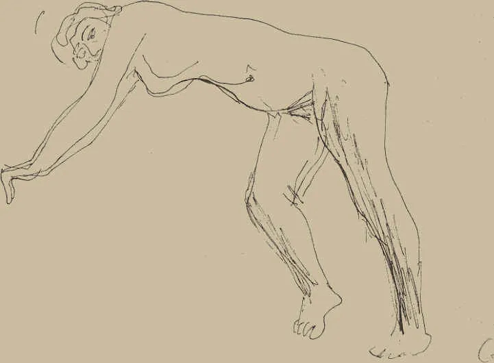 Disegni